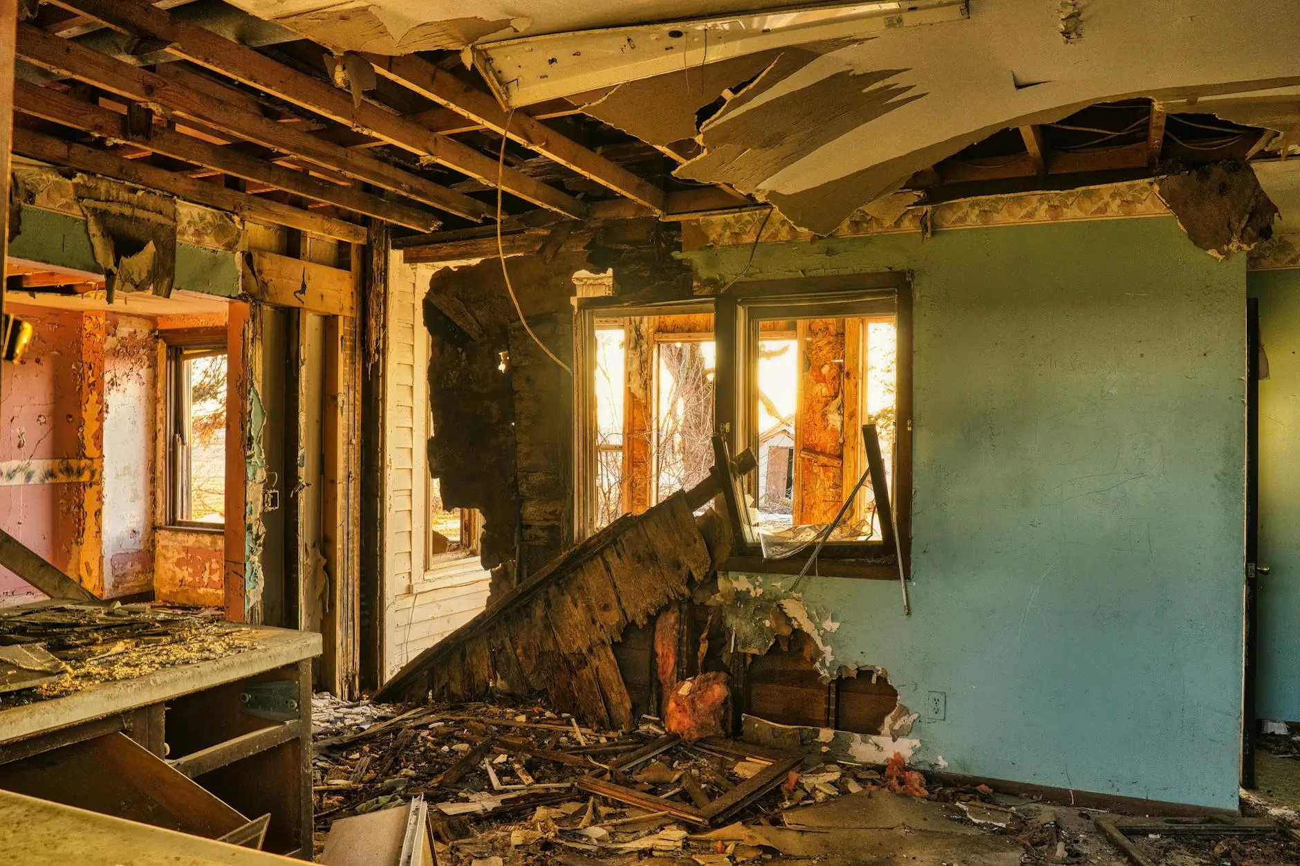 Tampa’s Trusted Mold Abatement & Remediation Specialists — Tampa, FL