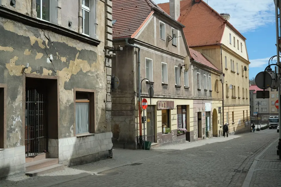 Town 'n' Country — mold removal